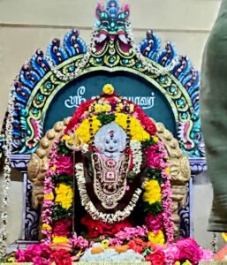 1000636311