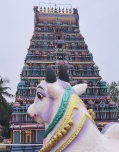 1000640464