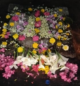 WhatsApp Image 2026-10-05 at 12.50.37