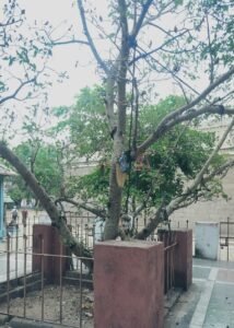 WhatsApp Image 2026-10-05 at 12.53.11